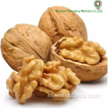 Beste Walnut Kernels Light Helften (LH)